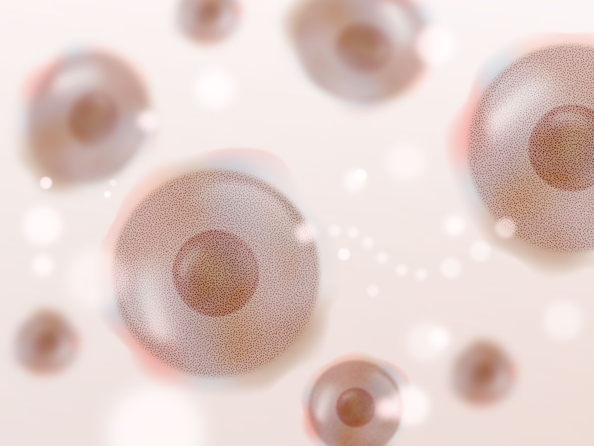 feat0<br />
<b>Warning</b>:  Undefined variable $i in <b>/home/xs171376/reunet.jp/public_html/trial4/wp/wp-content/themes/reutrial/parts/loop_features.php</b> on line <b>20</b><br />
<br />
<b>Warning</b>:  Undefined variable $count in <b>/home/xs171376/reunet.jp/public_html/trial4/wp/wp-content/themes/reutrial/parts/loop_features.php</b> on line <b>20</b><br />
2